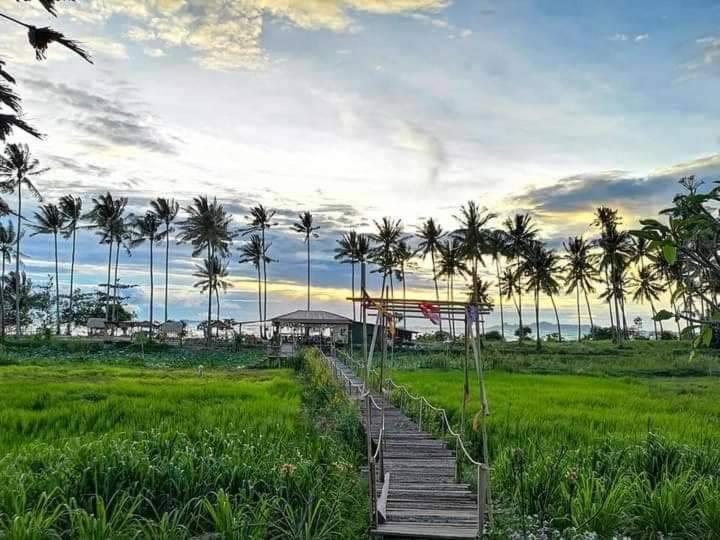 I - Talay Taling Ngam Samui - เขา ป่า นา เล ตลิ่งงาม สมุย Hotel Buitenkant foto