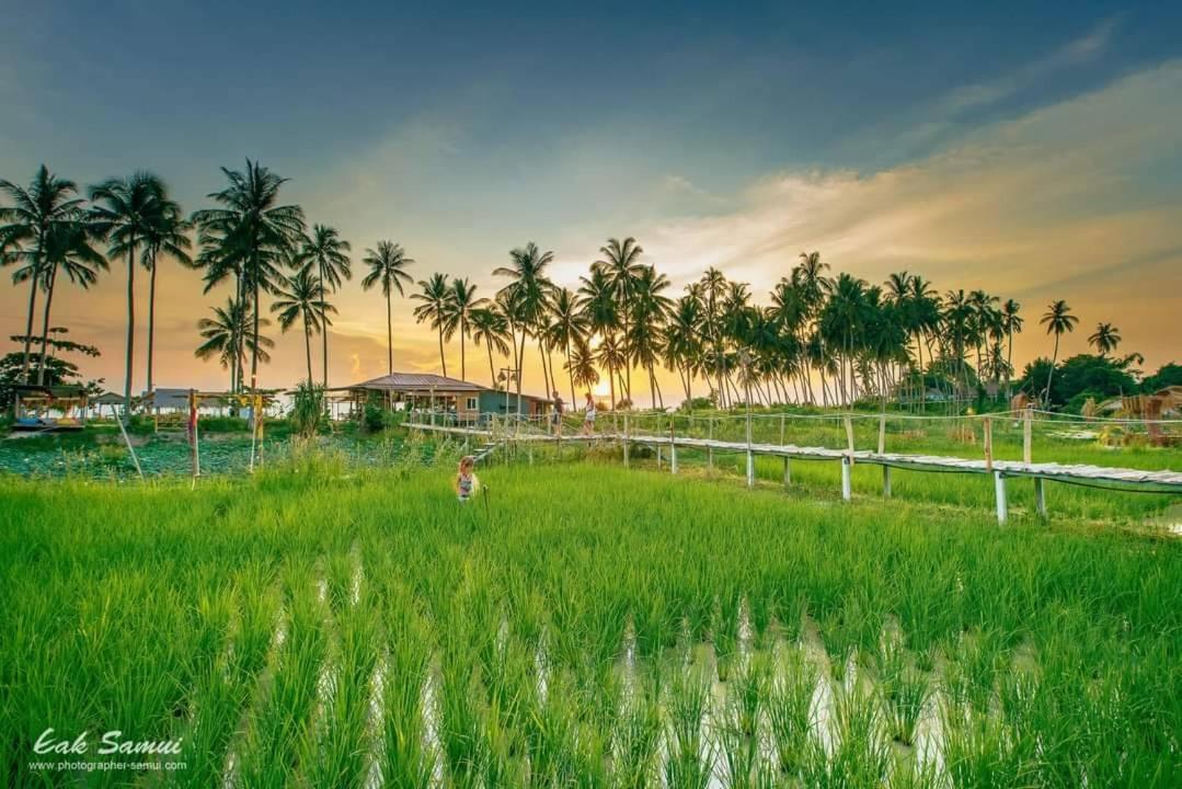 I - Talay Taling Ngam Samui - เขา ป่า นา เล ตลิ่งงาม สมุย Hotel Buitenkant foto