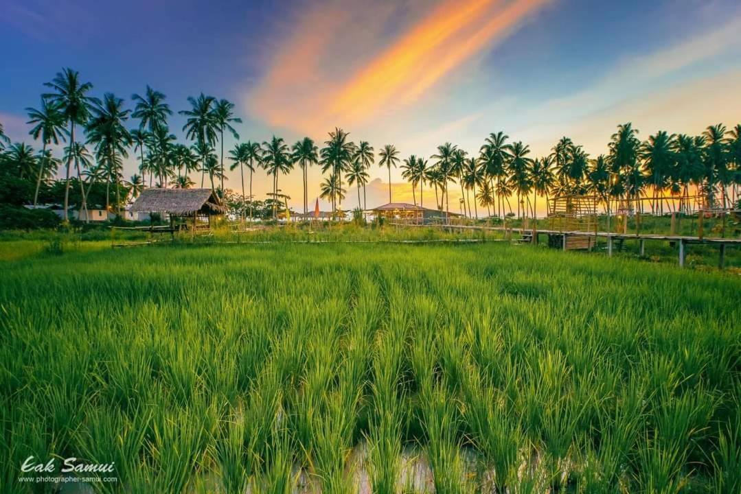 I - Talay Taling Ngam Samui - เขา ป่า นา เล ตลิ่งงาม สมุย Hotel Buitenkant foto